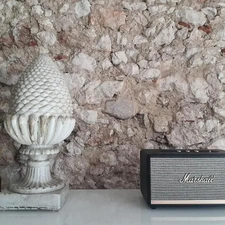 Apartment 1881 Historical Duplex *